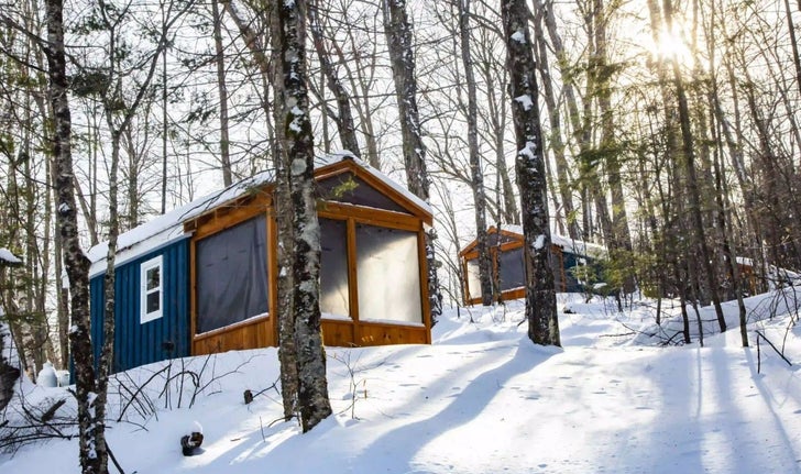 Des microrefuges d’Air-au-bois, en Outaouais